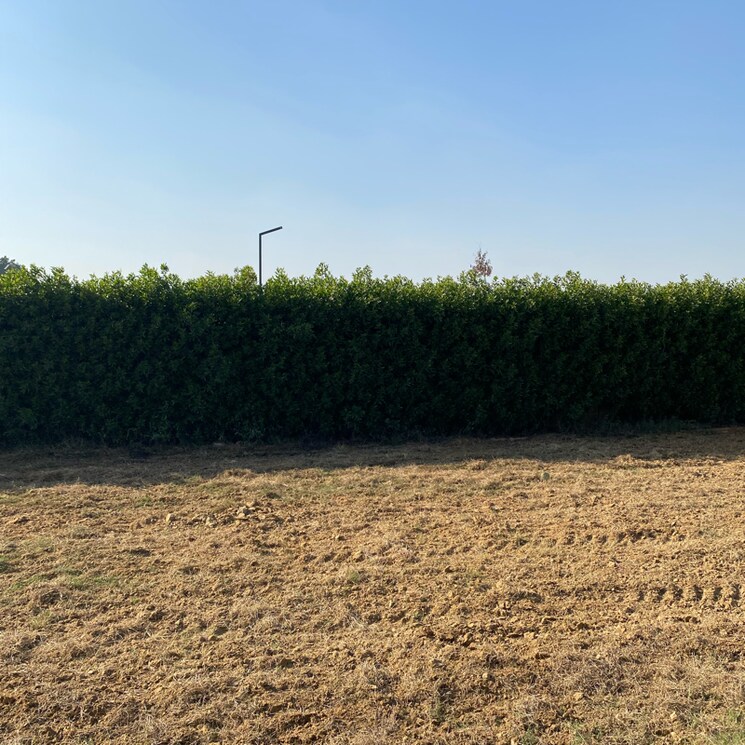 undefined, mansha-oaks  166 Sq.Yd. Plot In Sector 98 Faridabad 7932959