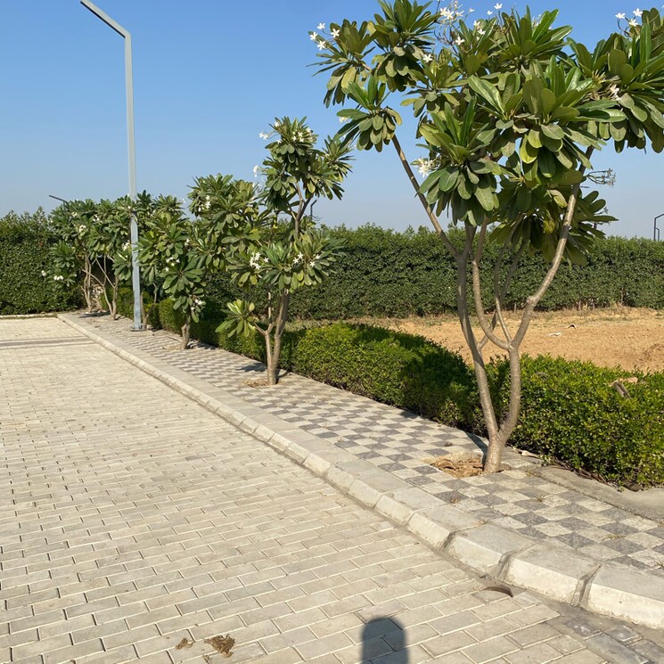 undefined, mansha-oaks  175 Sq.Yd. Plot In Sector 98 Faridabad 7932967