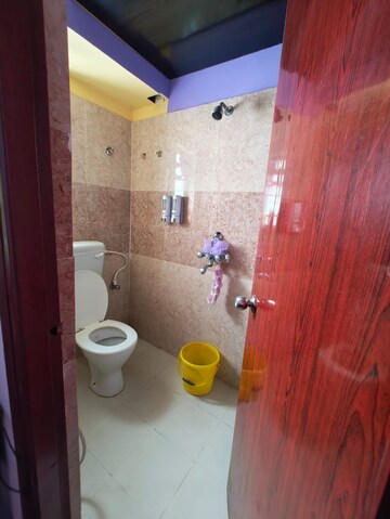Bathroom in 2 BHK Apartment at Metro Heights, Rasapunja – for Sale