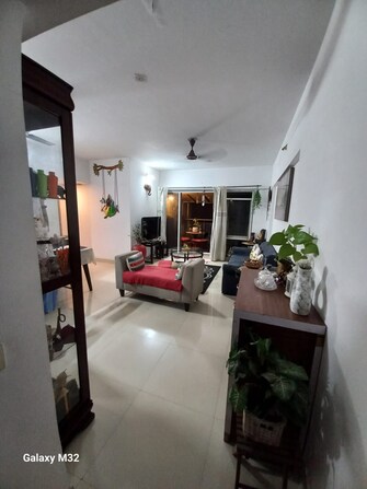 3 BHK Apartment For Rent in Hiranandani Estate Fiona Ghodbunder Road Thane  7932995