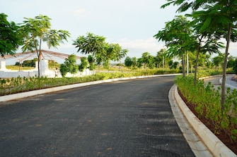 Plot For Resale in SRR Shadnagar Paradise County Shadnagar Hyderabad  7933289