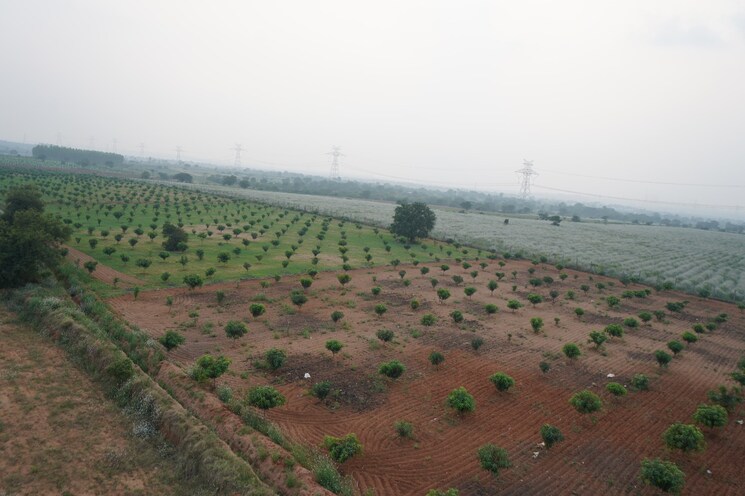 undefined, pride-view  183 Sq.Yd. Plot In Shadnagar Hyderabad 7933293