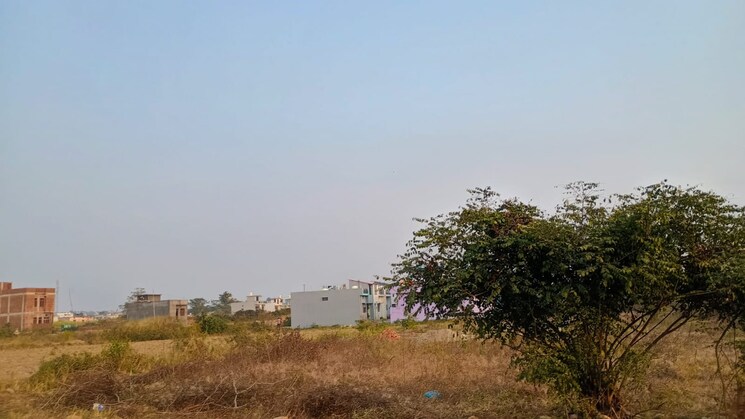 undefined, selakui  150 Sq.Yd. Plot In Selakui Dehradun 7933759