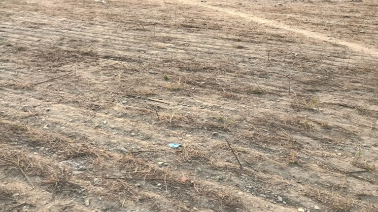 undefined, selakui  150 Sq.Yd. Plot In Selakui Dehradun 7933759