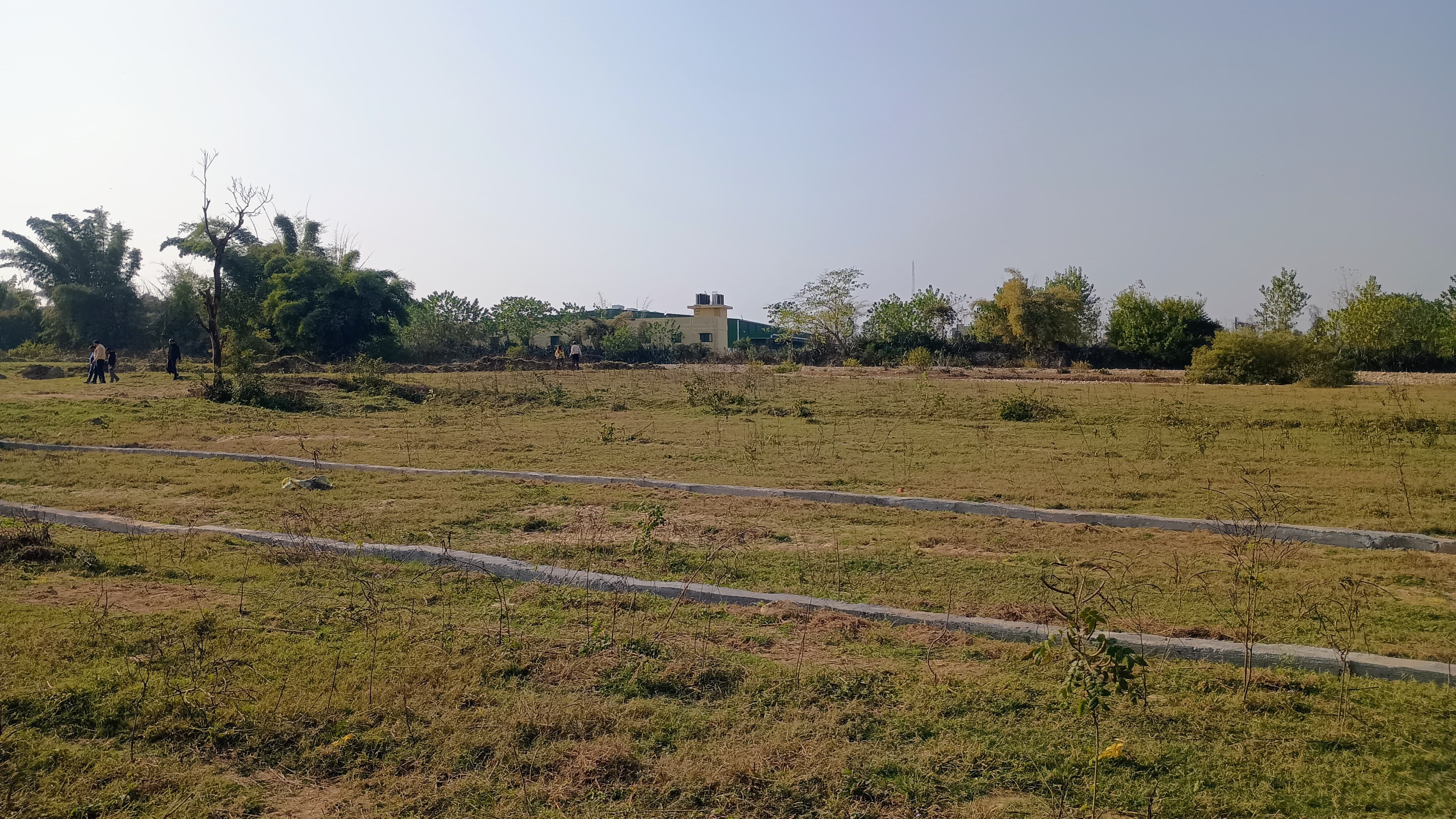 Plot For Sale in Selakui 