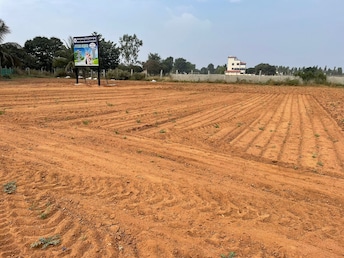 Plot For Resale in Jigani Bangalore  7934040