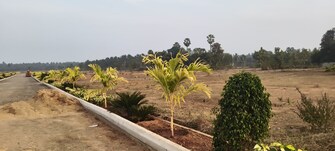 Commercial Land 533 Sq.Yd. For Resale in Bhogapuram Vizag  7934069