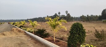 Commercial Land 533 Sq.Yd. For Resale in Bhogapuram Vizag  7934069