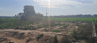 Plot For Resale in Kharar Mohali Road Kharar  7934207