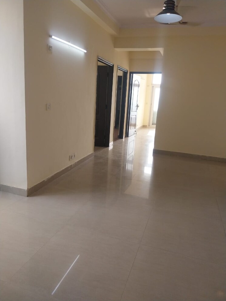 Room, sector 30 5 Bedroom 300 Sq.Mt. Independent House In Sector 30 Noida 7934326