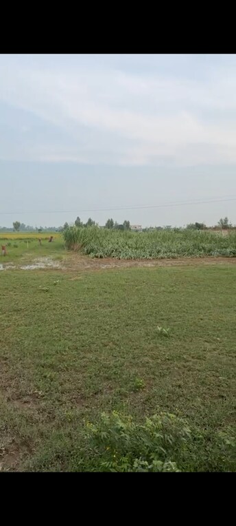 Plot For Resale in Sector 78 Mohali  7934439