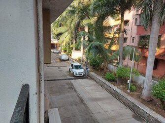 2 BHK Apartment For Rent in Shanti Residency Hadapsar Pune  7934464