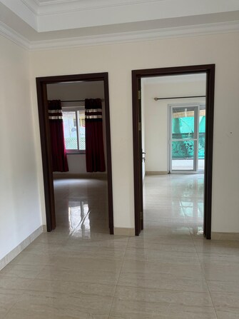 2 BHK Apartment For Resale in Uber Paxina Jayanagar Bangalore  7934484