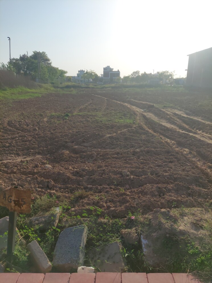 Garden, sector 108  300 Sq.Yd. Plot In Sector 108 Mohali 7934662
