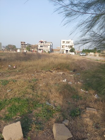 Plot For Resale in Sector 92 Mohali  7934703