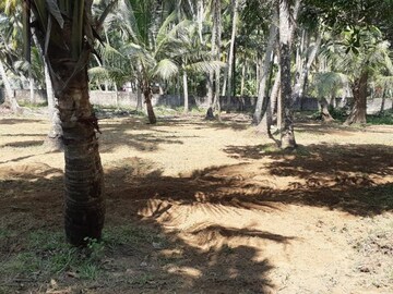 Plot Area in  Plot at Manalur – for Sale