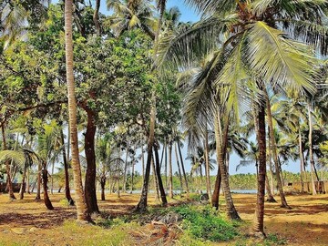  Plot – Exterior View View at Manalur - for Sale