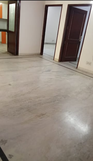 4 BHK Builder Floor For Rent in Freedom Fighters Enclave Delhi  7935719