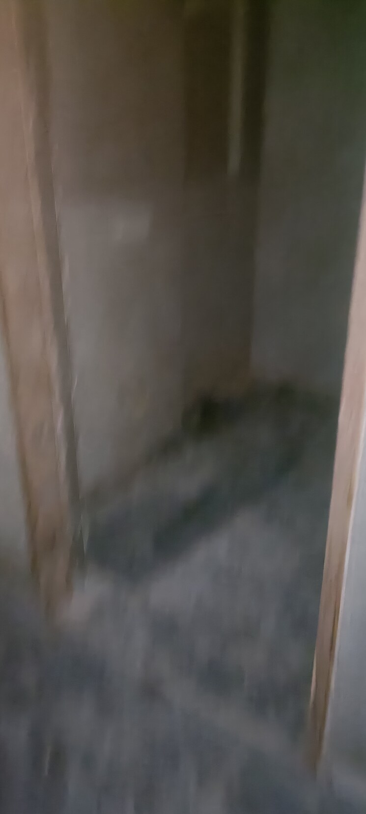 undefined, sanskruti-prabhat 4 Bedroom 2400 Sq.Ft. Apartment In Prabhat Road Pune 7937116