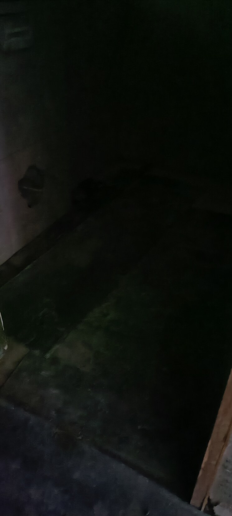 undefined, sanskruti-prabhat 4 Bedroom 2400 Sq.Ft. Apartment In Prabhat Road Pune 7937116