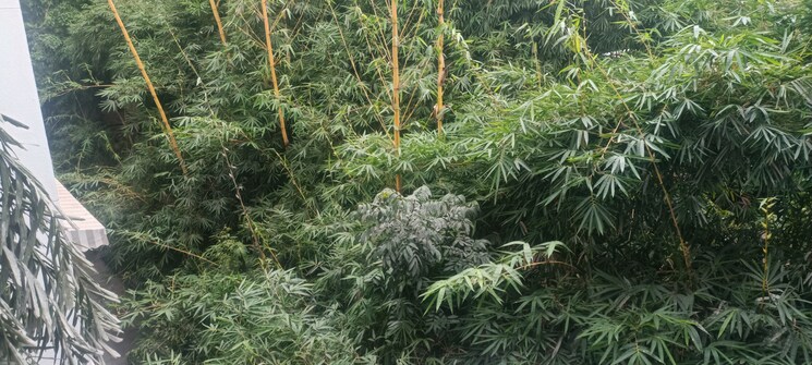 Master Bedroom, sanskruti-prabhat 4 Bedroom 2400 Sq.Ft. Apartment In Prabhat Road Pune 7937116