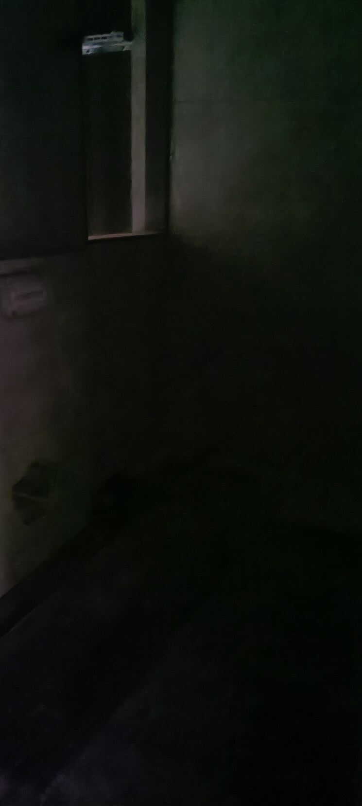 Room, sanskruti-prabhat 4 Bedroom 2400 Sq.Ft. Apartment In Prabhat Road Pune 7937116