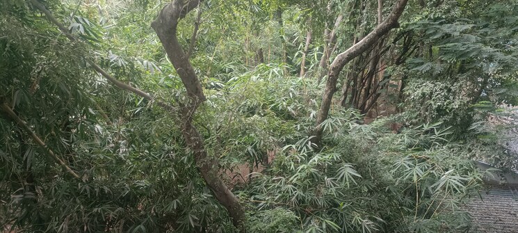 Master Bedroom, sanskruti-prabhat 4 Bedroom 2400 Sq.Ft. Apartment In Prabhat Road Pune 7937116