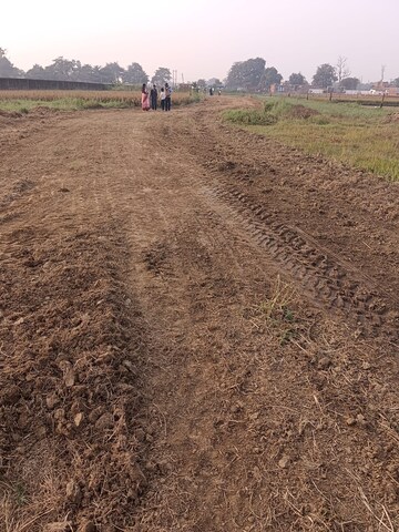 Plot Area in  Plot at Naubatpur – for Sale