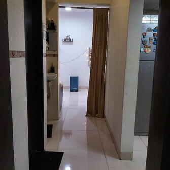 1 BHK Apartment For Rent in Shiv Koliwada CHS Sion West Mumbai  7937508