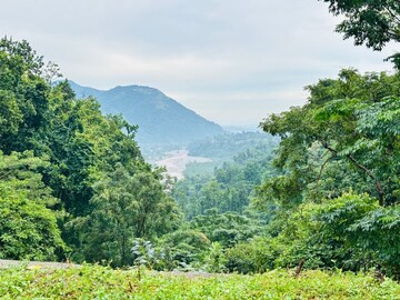  Plot For Sale in Shimla Bypass Road
