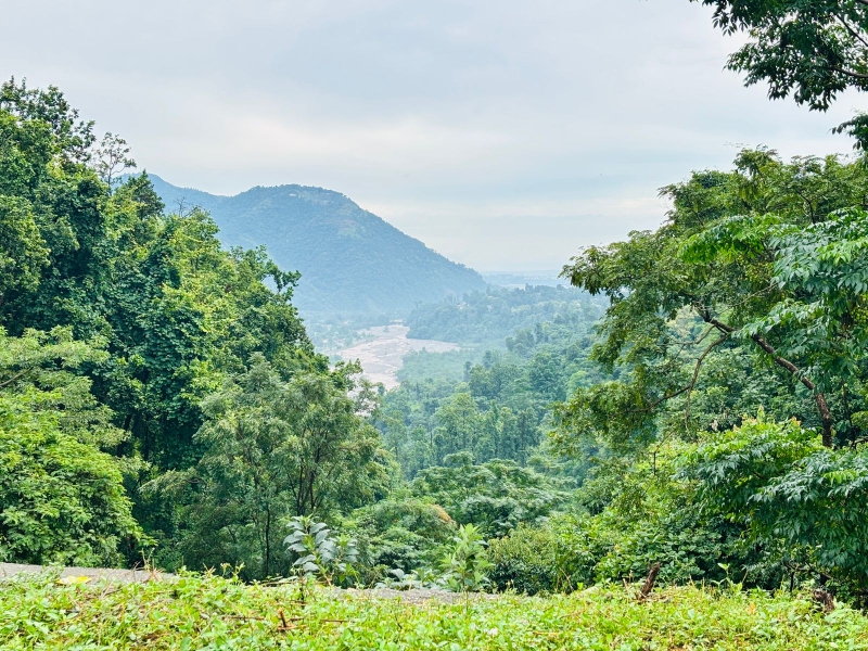 Plot For Sale in Shimla Bypass Road