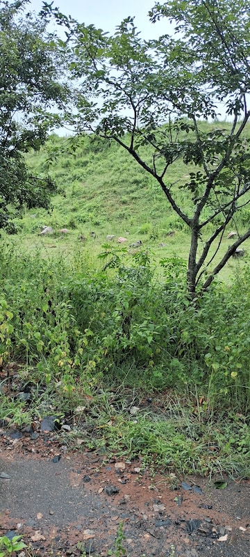 Plot Area in  Plot at Banashankari 6th Stage – for Sale