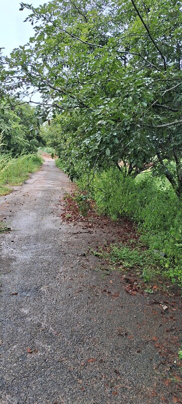 Plot Area in  Plot at Banashankari 6th Stage – for Sale