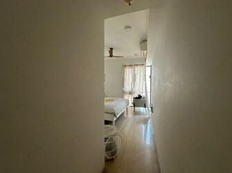 3.5 BHK Apartment For Rent in Dheeraj Insignia Bandra East Mumbai  7937690