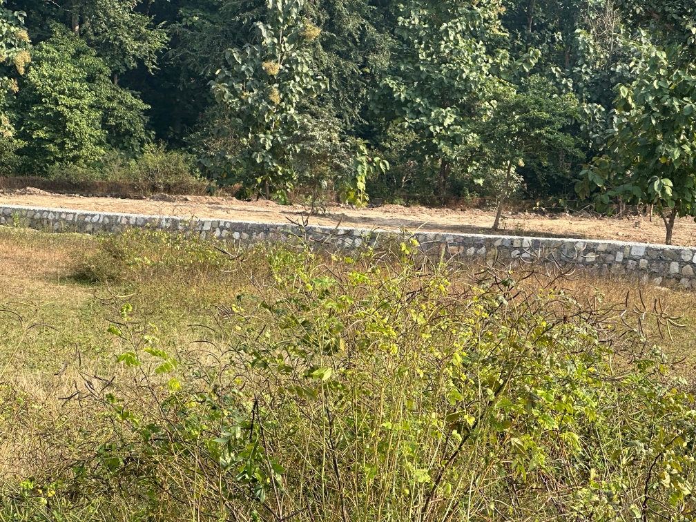 Plot For Sale in Shimla Bypass Road
