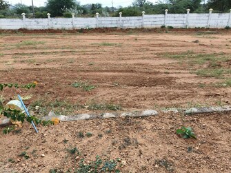 Plot For Resale in Yuva Park Shadnagar Hyderabad  7937961