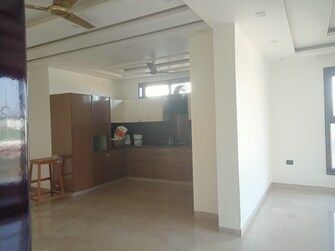 3 BHK Apartment For Rent in Sector 38 Gurgaon  7938103