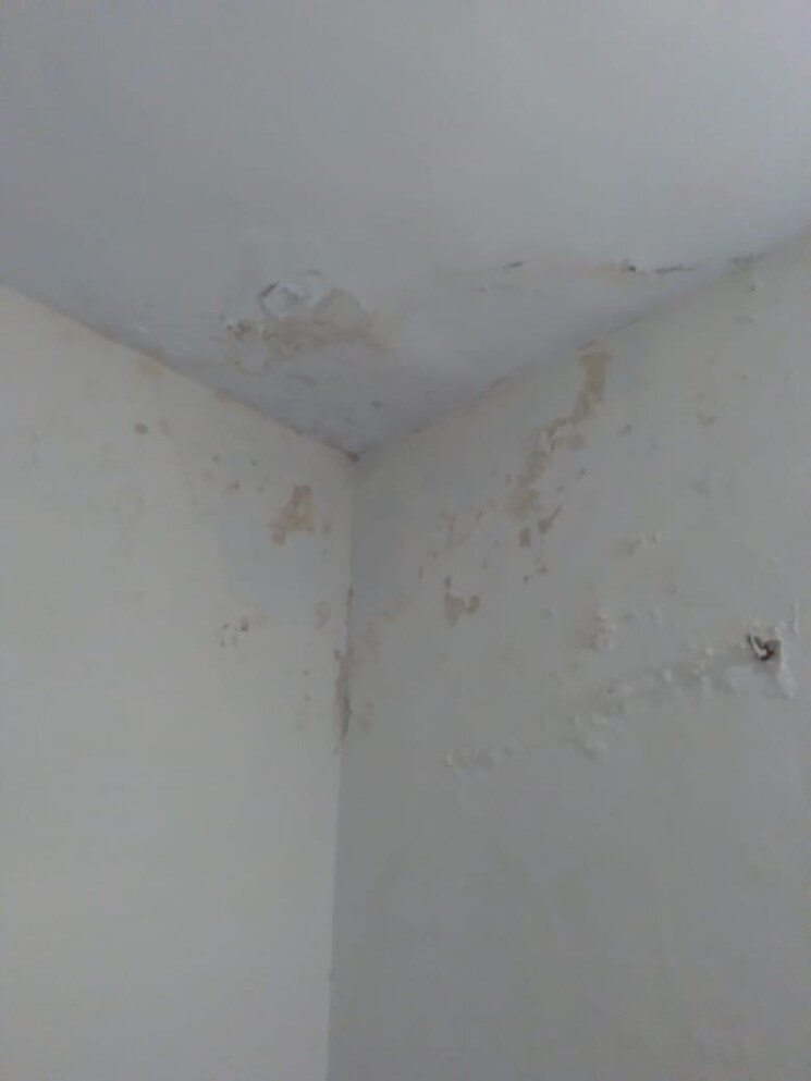 undefined, vasant kunj 3 Bedroom 2000 Sq.Ft. Apartment In Vasant Kunj Delhi 7938163