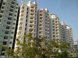 3 BHK Apartment For Rent in Oceanus Vista Sarjapur Road Bangalore  7938324