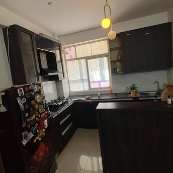 2 BHK Apartment For Rent in AVL 36 Gurgaon Sector 36a Gurgaon  7938706