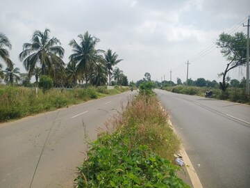 Plot Area in  Land at Rajanukunte – for Sale