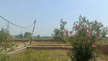 Plot For Resale in Delhi Road Meerut  7938873