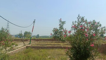 Plot For Resale in Mawana Meerut  7939093