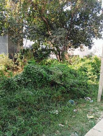 Plot For Resale in Aakash Enclave Apartments Akash Nagar Ghaziabad  7939123