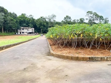 Plot Area in  Plot at Kanjirappally – for Sale