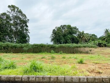 Plot Area in  Plot at Kanjirappally – for Sale