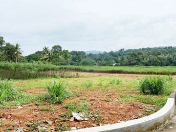  Plot For Sale in Kanjirappally