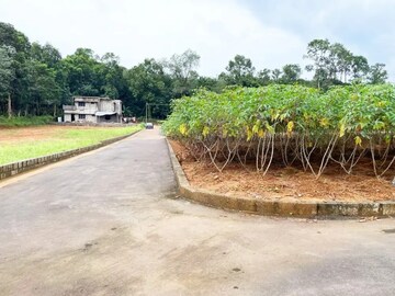Plot Area in  Plot at Kanjirappally – for Sale