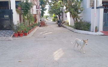 Plot For Sale in Transport Nagar
