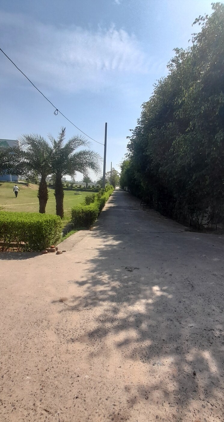 Exterior View, jewar  250 Sq.Yd. Plot In Jewar Greater Noida 7939882